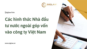 Các hình thức Nhà đầu tư nước ngoài góp vốn vào công ty Việt Nam
