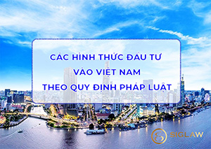 Các hình thức đầu tư tại Việt Nam theo quy định của pháp luật
