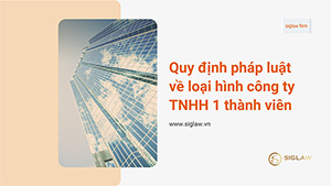 Quy định pháp luật về loại hình công ty TNHH một thành viên
