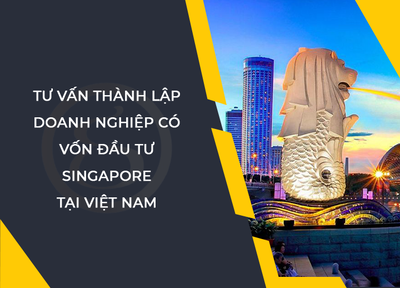 Thành lập doanh nghiệp có vốn đầu tư Singapore tại Việt Nam