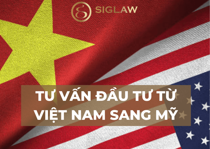 Tư vấn đầu tư Việt Nam sang Mỹ